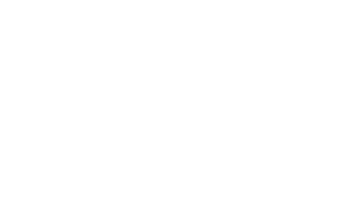 Ideal Jr.